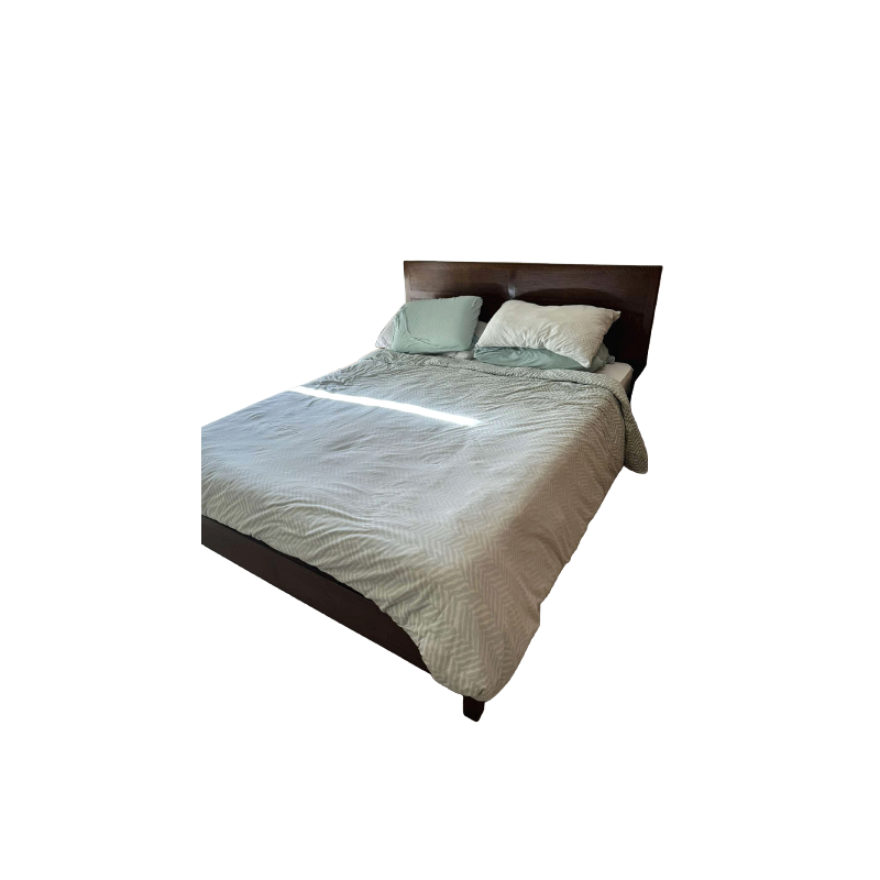 Pottery Barn Queen Size Bed and Mattress