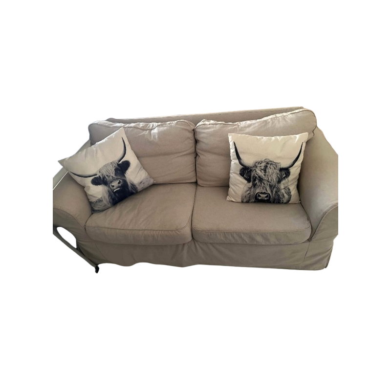 IKEA 2 Seater Sofa
