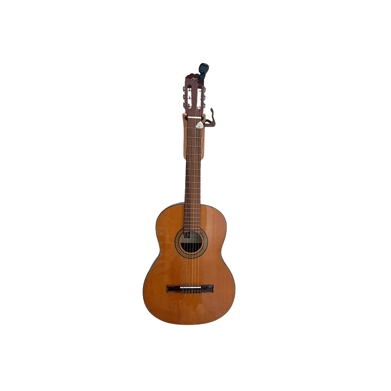 Classical acoustic guitar